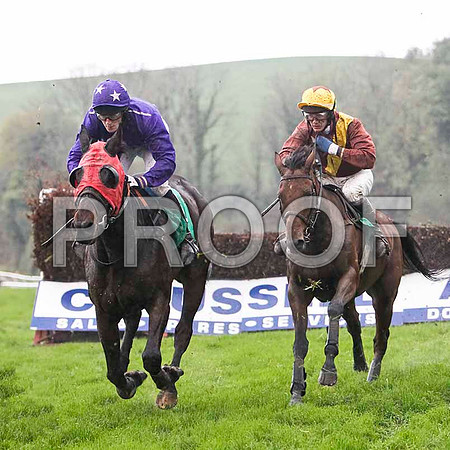 Quelas 5th , Jockey Mr B J Foley  & Lake Return U , Jockey P Townend -   FT8E5407-e