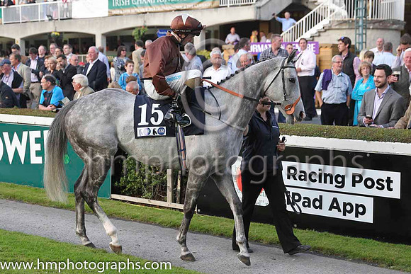 09 Dream Walker and C D Hayes - - 09th (15 ,brown, brown cap ) Trainer - B Ellison