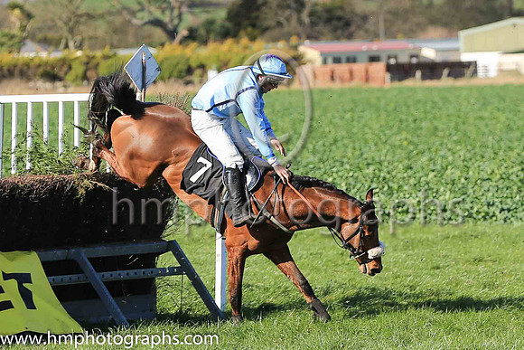 WOODBURY TAMPA and B G Crawford ( 7 , LIGHT BLUE,navy seams; light blue sleeves; light blue cap,purple star ) Trainer: S.R.B. Crawford,, Owner : Crawford, S.R.B.
