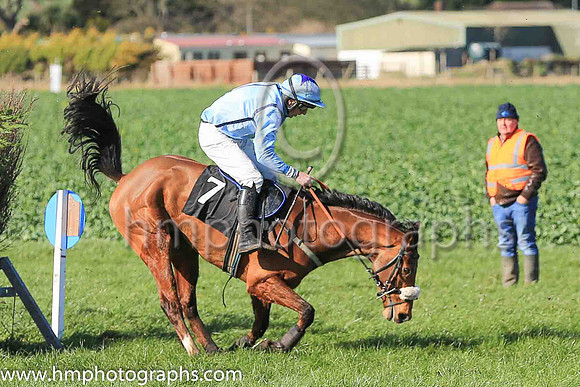 WOODBURY TAMPA and B G Crawford ( 7 , LIGHT BLUE,navy seams; light blue sleeves; light blue cap,purple star ) Trainer: S.R.B. Crawford,, Owner : Crawford, S.R.B.