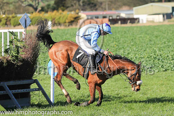 WOODBURY TAMPA and B G Crawford ( 7 , LIGHT BLUE,navy seams; light blue sleeves; light blue cap,purple star ) Trainer: S.R.B. Crawford,, Owner : Crawford, S.R.B.