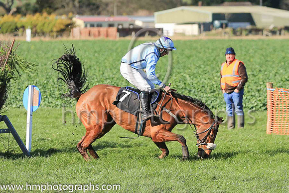 WOODBURY TAMPA and B G Crawford ( 7 , LIGHT BLUE,navy seams; light blue sleeves; light blue cap,purple star ) Trainer: S.R.B. Crawford,, Owner : Crawford, S.R.B.