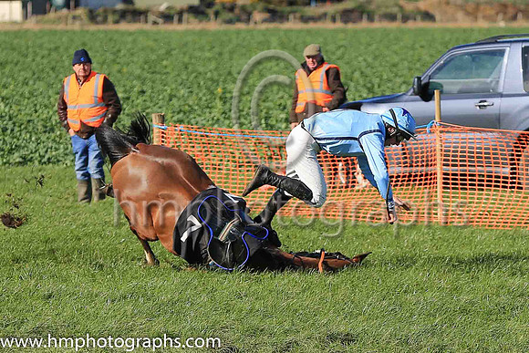 WOODBURY TAMPA and B G Crawford ( 7 , LIGHT BLUE,navy seams; light blue sleeves; light blue cap,purple star ) Trainer: S.R.B. Crawford,, Owner : Crawford, S.R.B.