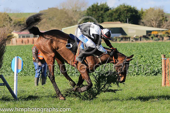 ISLANDRAY and A J Fox ( 2 ,Antrim (H) - BLACK  WHITE QTD; black  white hlvd sleeves; white cap ) Trainer: Colin S. McKeever , Owner : W.W. Dennison