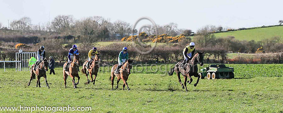 The start of Race 5 at Kirkistown Point to Point