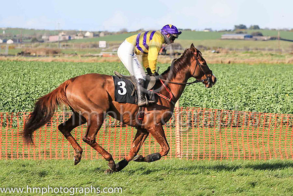 01st DECOR IRLANDAIS (FR) and N McParlan ( 3 ,Antrim (H) - YELLOW,purple chevrons; yellow sleeves; purple cap,yellow star ) Trainer: Noel C. Kelly , Owner : Shauna Kelly