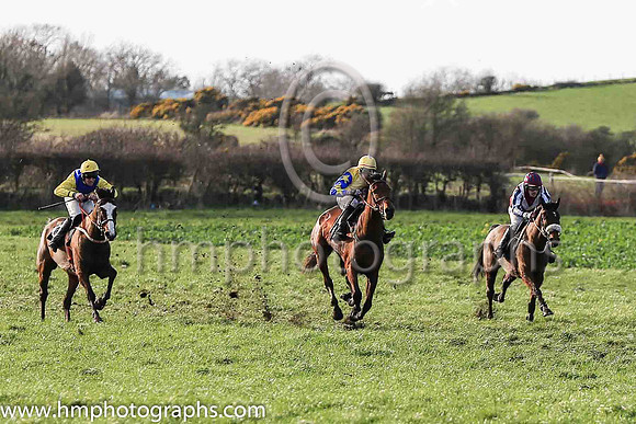 01st DONTGETFOOLEDAGAIN (FR) and S Fitzgerald ( 7 , YELLOW,royal blue star; royal blue sleeves,yellow stars; yellow cap,royal blue star ) Trainer: Shane Hassett , Owner : Jane Davis