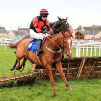01st Alaliya and Liam Gilligan (8, black, red disc) Trainer G T Lynch, Owner Mrs Margaret Hannigan