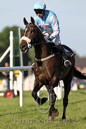 Limited Vision 13th Jockey T P Treacy - FT8E0970-e