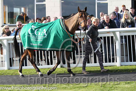 Tammys Hill - winner of the CGA Foxhunter Chase at Cheltenham - FT8E4340-18