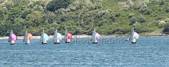 3rd, Gold, 14277, Curly Morris & Meg Tyrrell, EABC/NSC - 8, 3, 5, 4, 4, (13) - Total = 37, Nett = 24