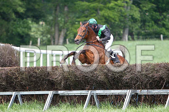 Fourth Race - St Matthew (14) 4th, Rider J J Smith - CU2D9631-e
