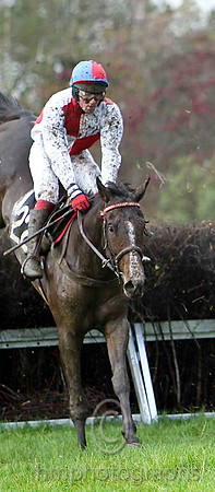 Seaofemotion , Jockey G L Murphy  PU - CU2D9976-e2