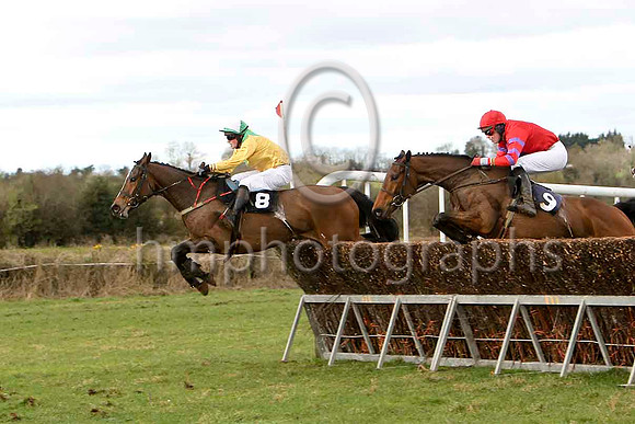 King Helissio 8th, Mr Homer 9th - FT8E0007-e