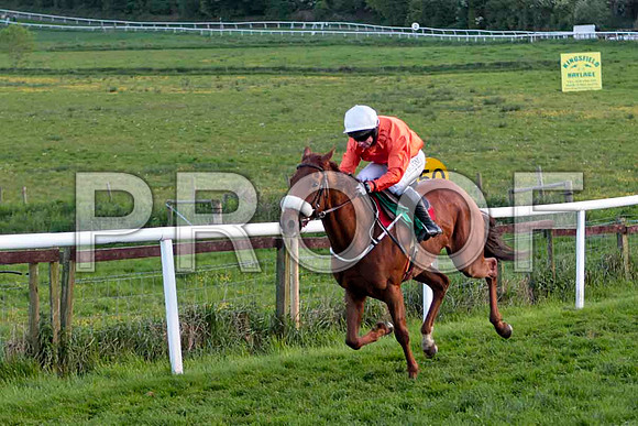 Toom Googly , 7th, Jockey Mr J P McKeown - CU2D9340-e