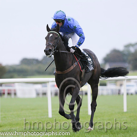 08 Rocking Bishop and Mr A H Wells - - 08th (5 ,blue, black stars ) "