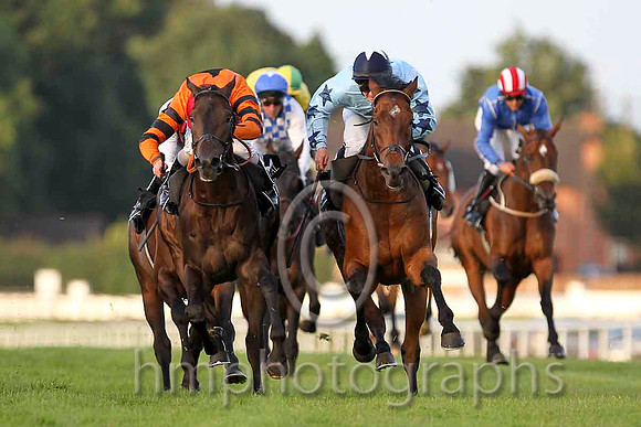 Windsor Pride & C D Hayes - Winner (12, Orange, Black star) - CU2D3438-e