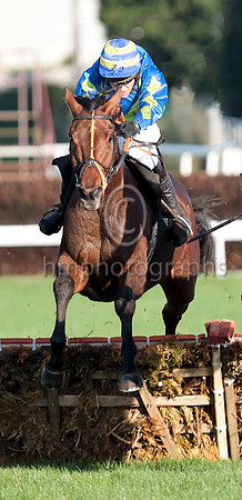 The Real Article , Winner Jockey B J Geraghty - CU2D9717-e4