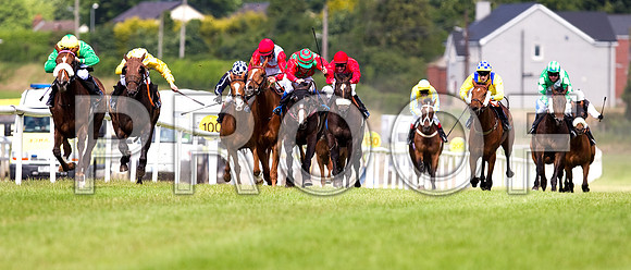 Spring Hawk winner, Mad existance 2nd, Hawksbury Heights 6th, Fascinatin Oaddy 4th, Connyella 3rd, Red Kingdom 5th, stella Matutina 10th, Vignelaure Rose 7th, The Rossmeister 8th & Ro - FT8E1330-e3a4j