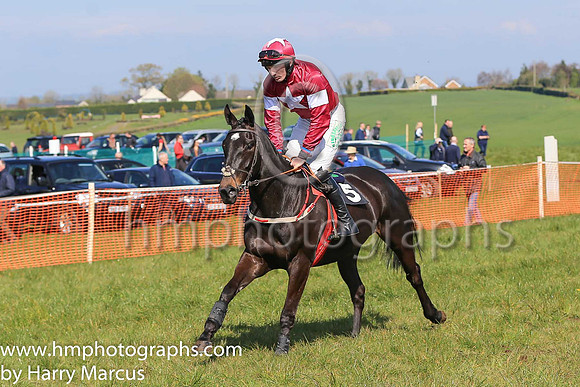 01st DIRECT FIRE and D G Lavery ( 5 , MAROON,white star; maroon sleeves,white armlet; maroon cap,white star ) Trainer: B.R. Hamilton , Owner : Gigginstown House Stud