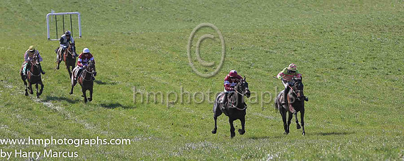 01st DIRECT FIRE and D G Lavery ( 5 , MAROON,white star; maroon sleeves,white armlet; maroon cap,white star ) Trainer: B.R. Hamilton , Owner : Gigginstown House Stud