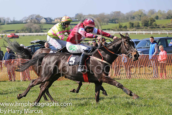 01st DIRECT FIRE and D G Lavery ( 5 , MAROON,white star; maroon sleeves,white armlet; maroon cap,white star ) Trainer: B.R. Hamilton , Owner : Gigginstown House Stud