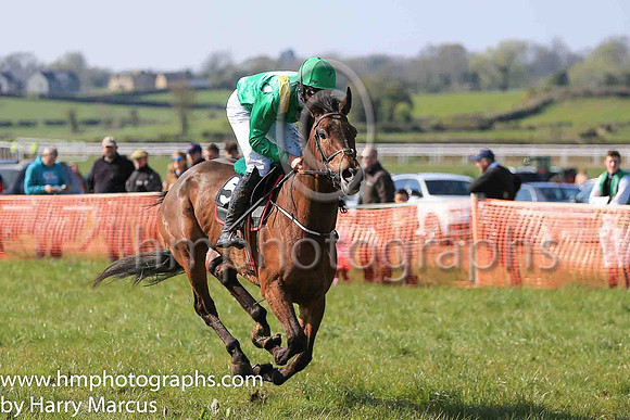 01st THE MULCAIR and L J Murphy ( 5 , EMERALD GREEN,yellow epaulettes; emerald green sleeves; emerald green cap,yellow star ) Trainer: Denis Paul Murphy , Owner : P.G. Coffey
