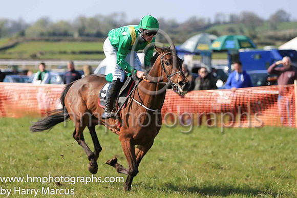 01st THE MULCAIR and L J Murphy ( 5 , EMERALD GREEN,yellow epaulettes; emerald green sleeves; emerald green cap,yellow star ) Trainer: Denis Paul Murphy , Owner : P.G. Coffey