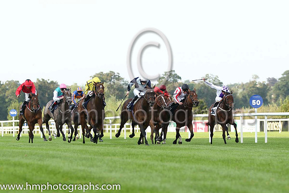 01 Fiesolana and W J Lee - - 01st (1 ,dark Blue, light blue cross sashes ) Trainer - W McCreery