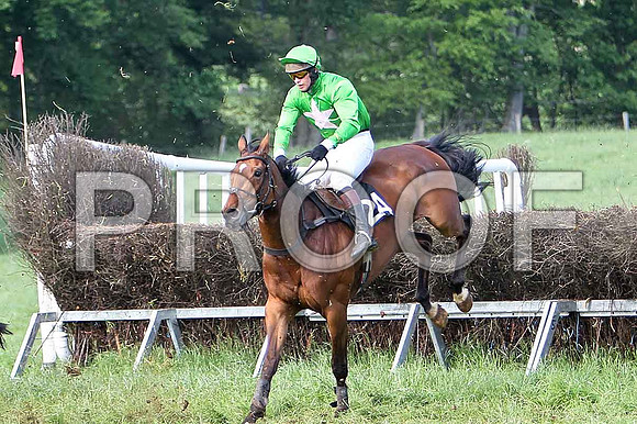 Race 6 Div 2 - Pay As You Go (24) PU, Rider M J Henry - CU2D9812-e