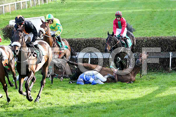 The Real Tyson falls - Jockey P Townend - FT8E4910-e2