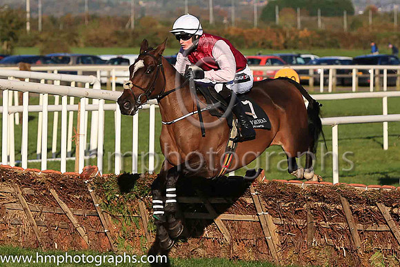 08th Draycott Place and D E Mullins ( 7 , maroon, pink sleeves ) Trainer - J P Ryan , Owner - John Patrick Ryan
