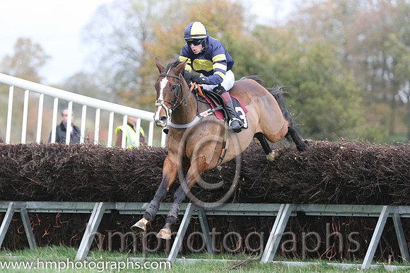 02 Serious Times and N O'Rourke - - 02nd (3 ,dark blue, yellow disc ) Trainer - Pater Maher
