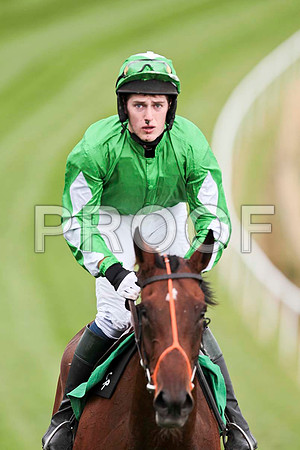 Rowanville Lady - 6th , Jockey J S McGarvey   - CU2D9510-e