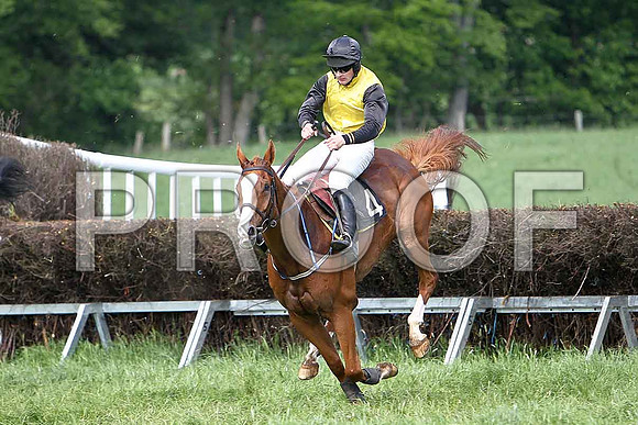 Fourth Race - Dodgey Dream (4) 3rd, Rider M J O'Hare - CU2D9629-e