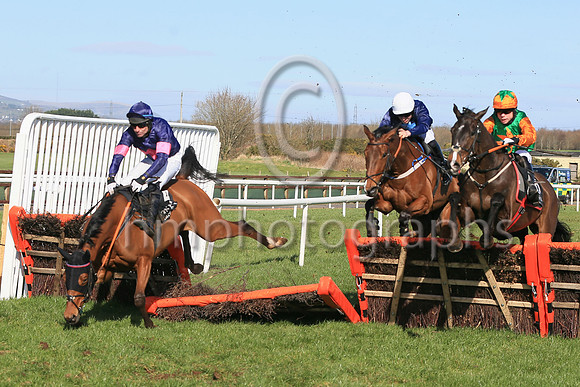 fell Baltimore Bucko and Mr J J ONeill7 ( 4 , purple. Yellow diamonds ) Trainer - Keri Brion , Owner - Buttonwood Farms LLC