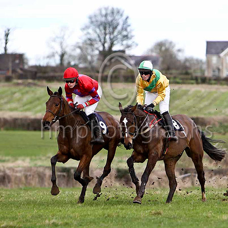 Mr Homer & M O'Connor - 6th & King Helissio & J Cresswell - 4th - FT8E9974-e