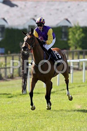 Hassanali 4th, Jockey D E Mullins - FT8E1407-e