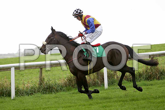 Fingal Lad , Jockey K M Donoghue - 12th - CU2D2295-e