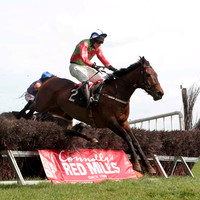 Super Day , Winner, Jockey - J J Codd -CU2D4583-e