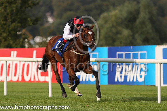 01 Free Eagle and P J Smullen - - 01st (7 ,black, white sleeves, red cap black star ) Trainer - D K Weld
