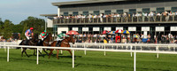 2022-06-03rd Down Royal (hr)