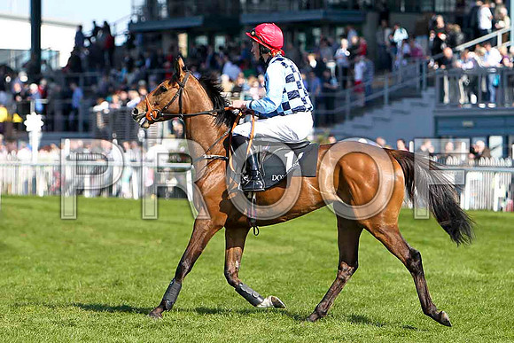 Fleur De Nuit - 3rd, Jockey Mr M P Fogarty - FT8E2247-e