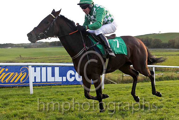 Buttonhole Rose , Jockey Mr G Sheehan - 4th - FT8E4504-e