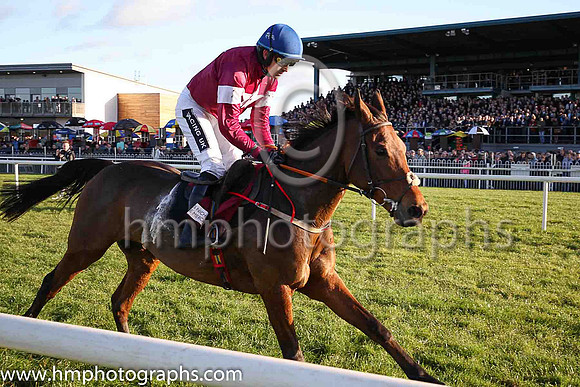 01st Valseur Lido and R Walsh ( 7 , maroon, white star, blue cap ) Trainer - H de Bromhead , Owner - Gigginstown House Stud