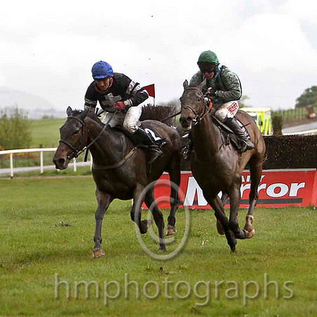 Blood Diamond & J L Cullen (black , white cross) 8th & - Inis Ceithleann & A E Lynch (light blue and dark blue stripes) 6th - FT8E2918-e