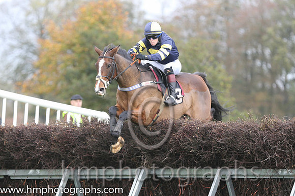 02 Serious Times and N O'Rourke - - 02nd (3 ,dark blue, yellow disc ) Trainer - Pater Maher