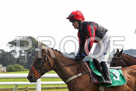 Henro Boy, Winner Jockey Ms K Walsh- FT8E3143-e2