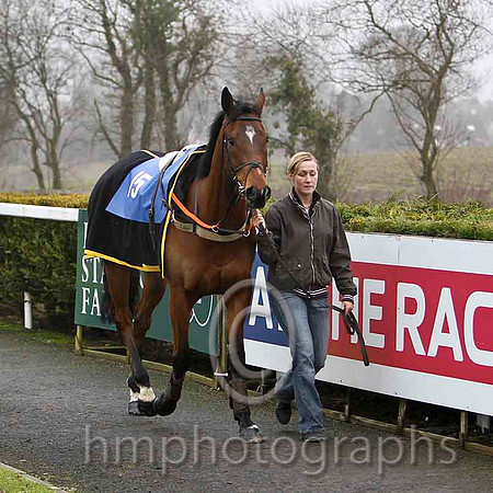 Tammys Hill - Jockey L McNiff - 7th -CU2D1769-e