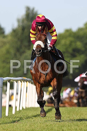 Final Day Jockey Paul Carberry winning the race - FT8E0935-e